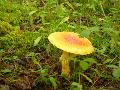 p1050125.jpg