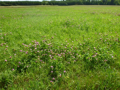p1050156.jpg