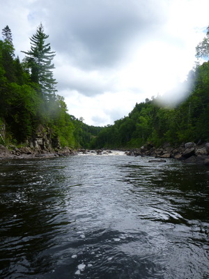 p1050173.jpg