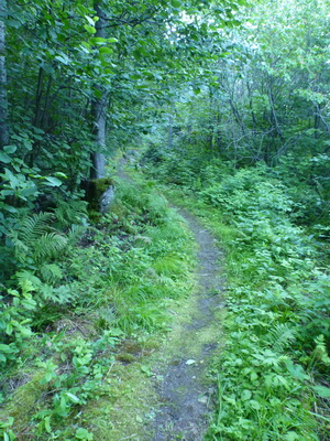 p1050202.jpg
