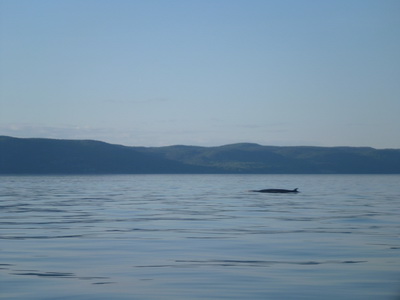 p1050300.jpg