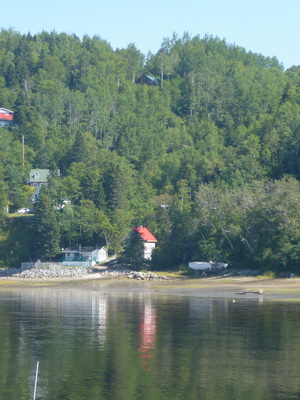 p1050313_cr.jpg