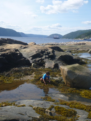 p1050345.jpg