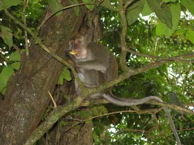 img_0650.jpg